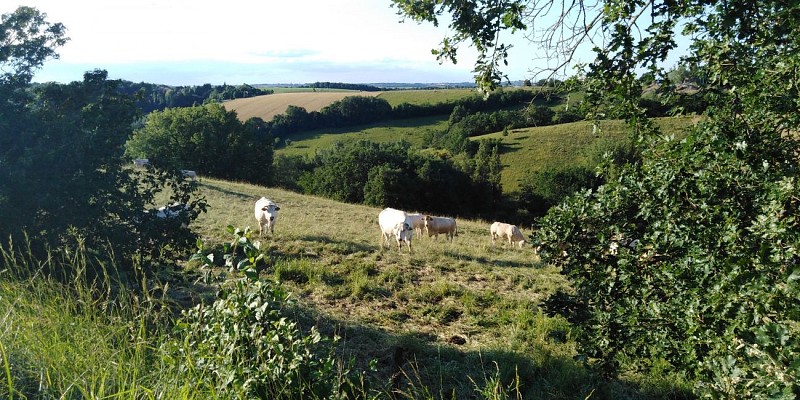 2020 Rando Castelnau @OTI COEUR DE GARONNE fdc