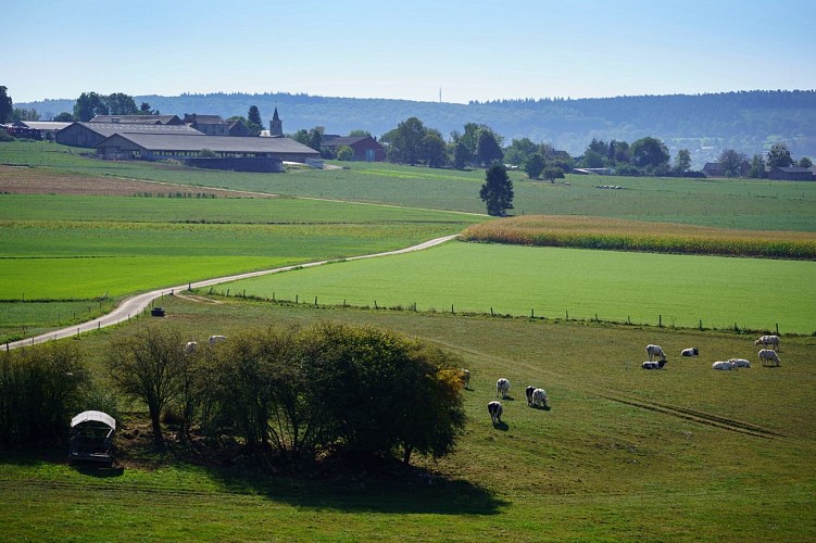 292529284_5481625195214768_3766982300038016273_n