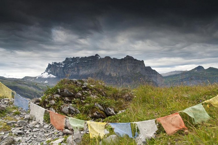 2 jours sur l'alpage de Grenairon avec nuit en refuge