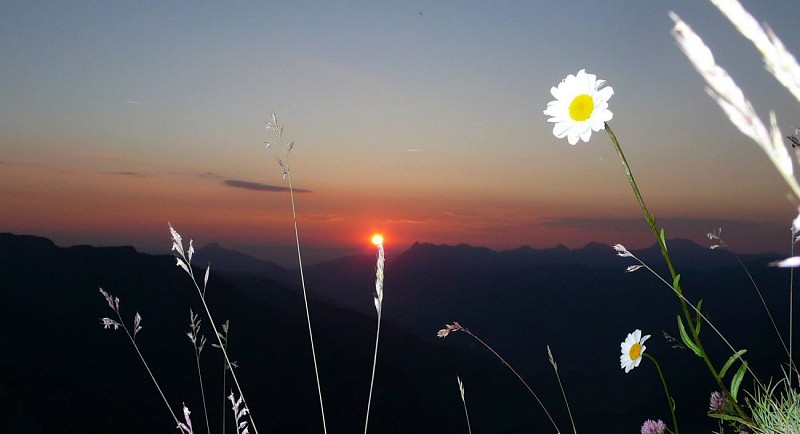 2 jours sur l'alpage de Grenairon avec nuit en refuge