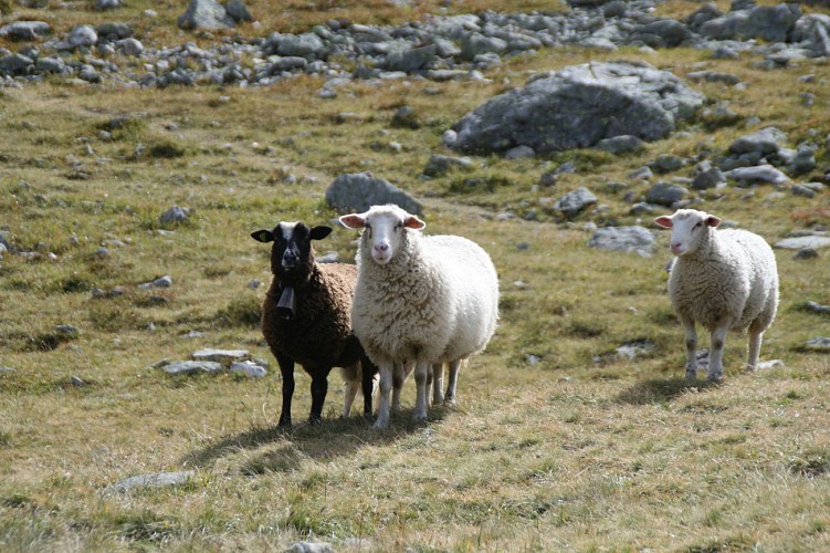 Escapade de 2 jours aux lacs Jovet avec nuit en refuge