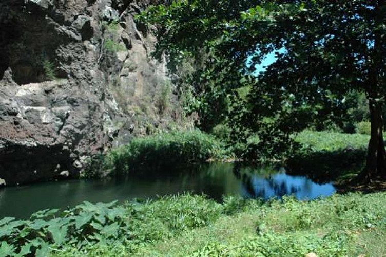 Bassin Long (Grande Fontaine)