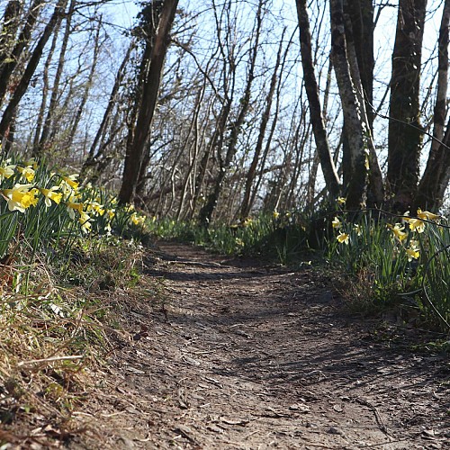 Sentier du Banchet en mars