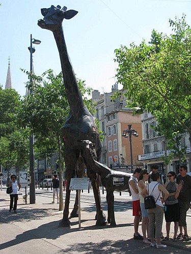 Balade à travers le quartier les Réformés