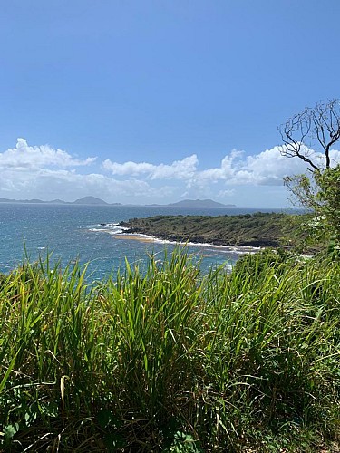 Sentier de la Grande Pointe