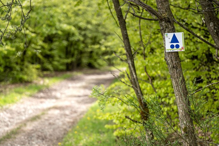 Commune de Manhay - Martin Dellicour