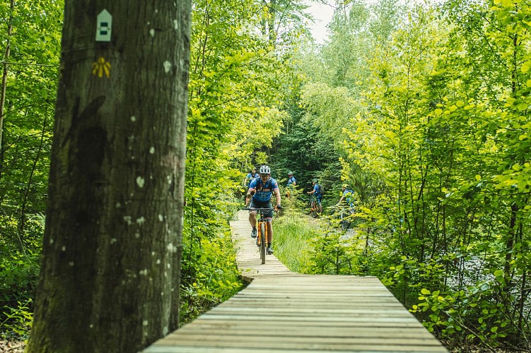 © Commune de Manhay - Martin Dellicour__DSC0345