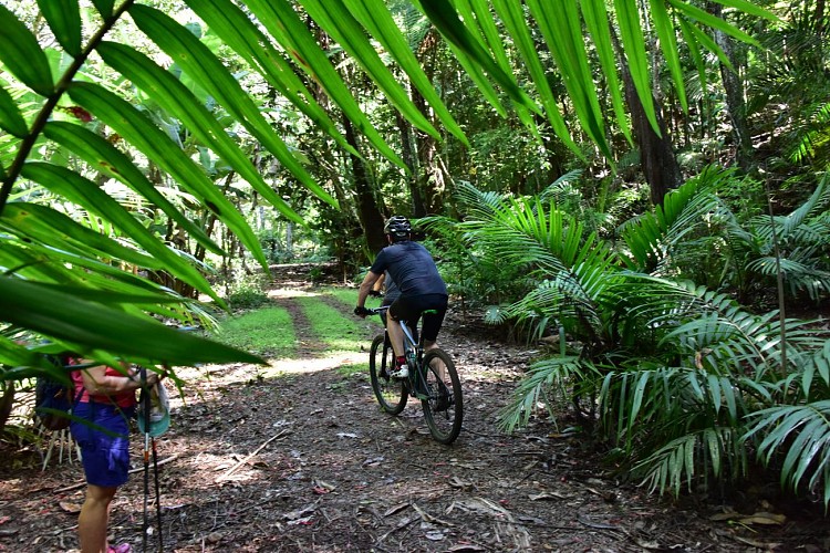 Piste VTT du Grd Kaori
