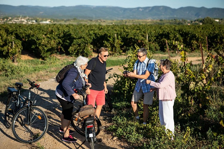 Vignoble_Velo_Puissalicon_-_EXCLUSIF_ADT34_Olivier_Octobre_8