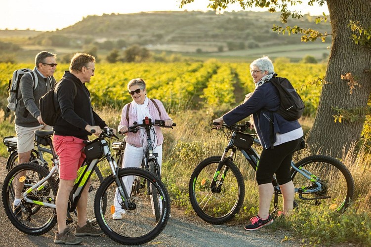 Vignoble_Velo_Puissalicon_-_EXCLUSIF_ADT34_Olivier_Octobre_5