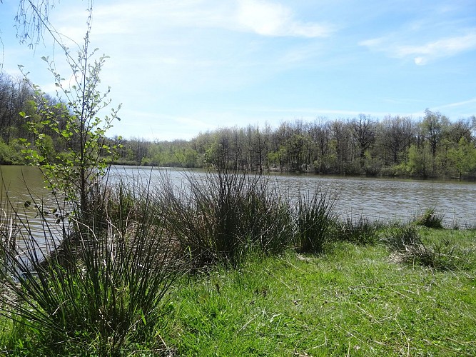 Villeneuve de Marc : Le plateau de Bonnevaux