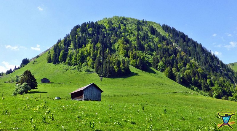 Tour du Sulens - Circuit des alpages - 12km - 3h30 - Haute-Savoie (74)