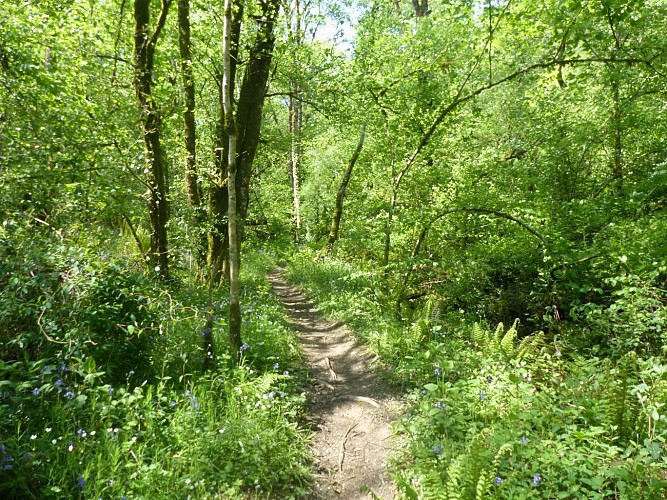 Sentier sur les hauteurs de l'Angle Guignard - Chantonnay