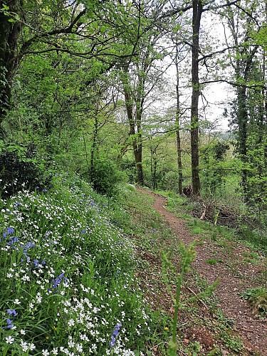 Sentier sur les hauteurs de l'Angle Guignard - Chantonnay