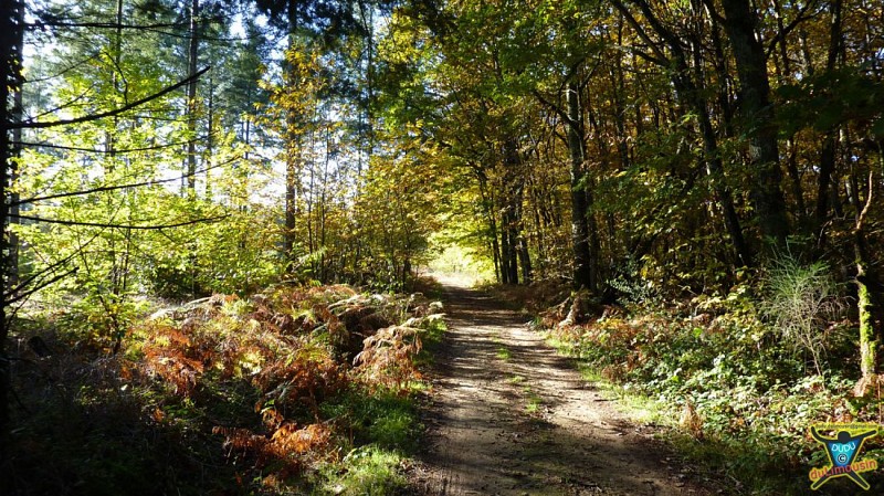 Saint-Auvent - Vallée de la Gorre et forêt de Rochechouart - 9 km - 2h30 - Haute-Vienne (87)