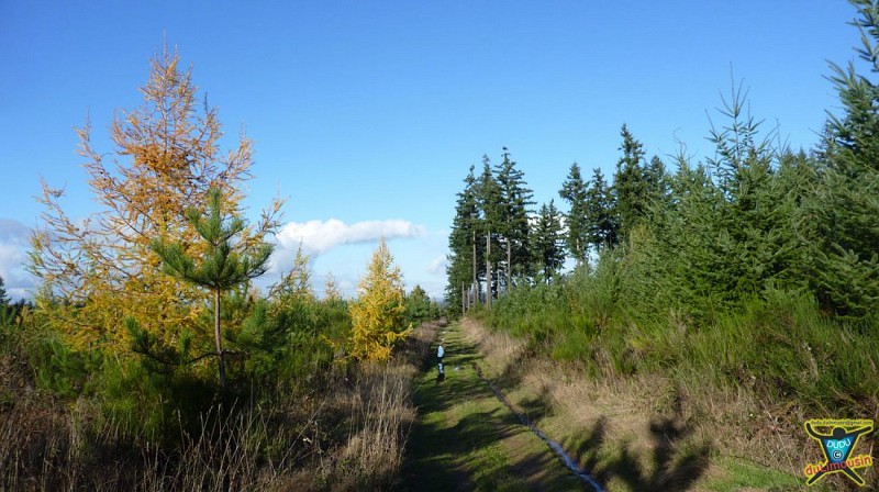 Saint-Auvent - Vallée de la Gorre et forêt de Rochechouart - 9 km - 2h30 - Haute-Vienne (87)
