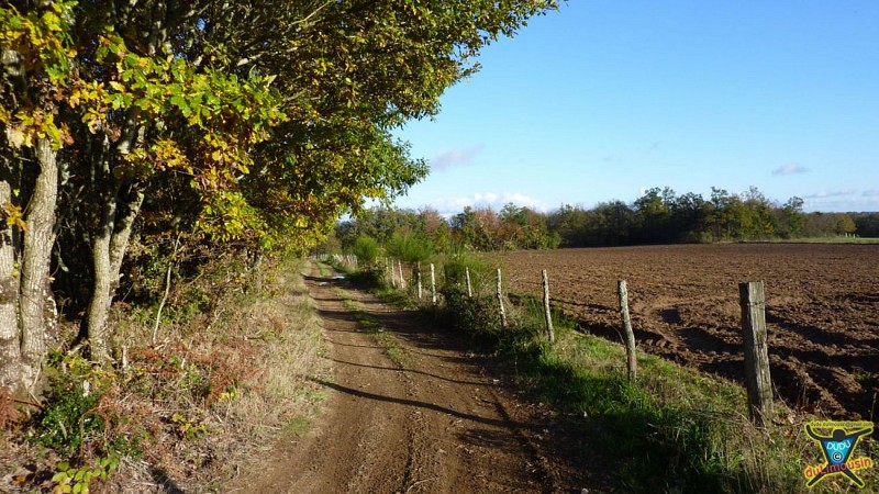 Saint-Auvent - Vallée de la Gorre et forêt de Rochechouart - 9 km - 2h30 - Haute-Vienne (87)