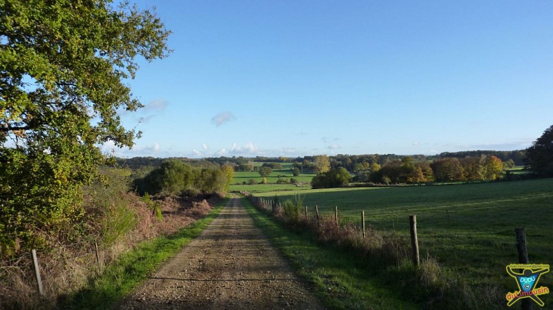 Saint-Auvent - Vallée de la Gorre et forêt de Rochechouart - 9 km - 2h30 - Haute-Vienne (87)