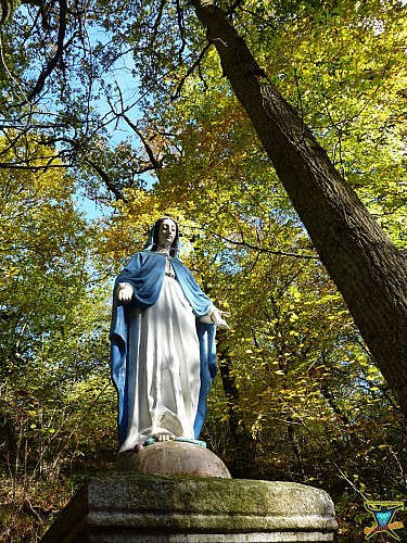 Saint-Auvent - Vallée de la Gorre et forêt de Rochechouart - 9 km - 2h30 - Haute-Vienne (87)