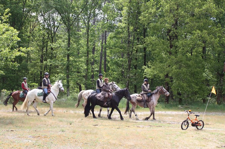 Lentrade arrivée cavaliers