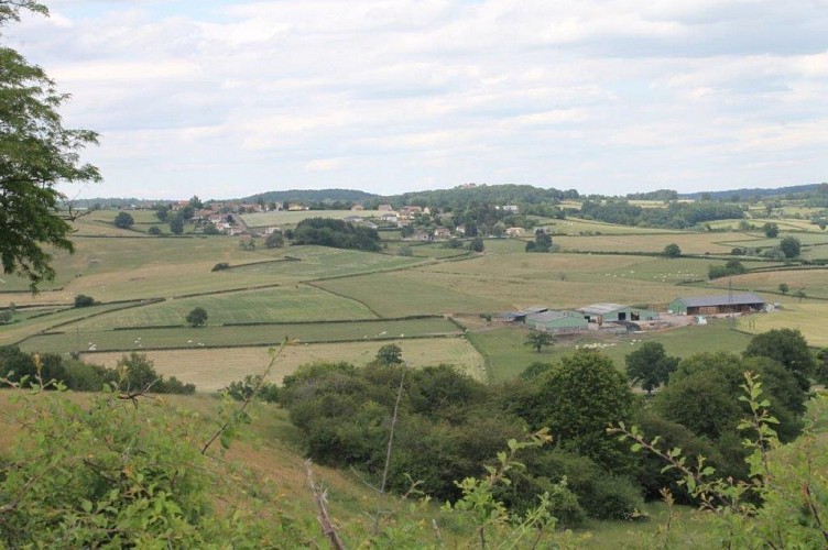 Point de vue sur la vallée du Mesvrin