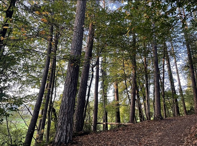 Parc du Morambeau