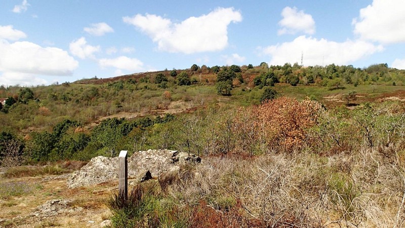Balades Vertes, Le Creusot : la Lande de la Chaume