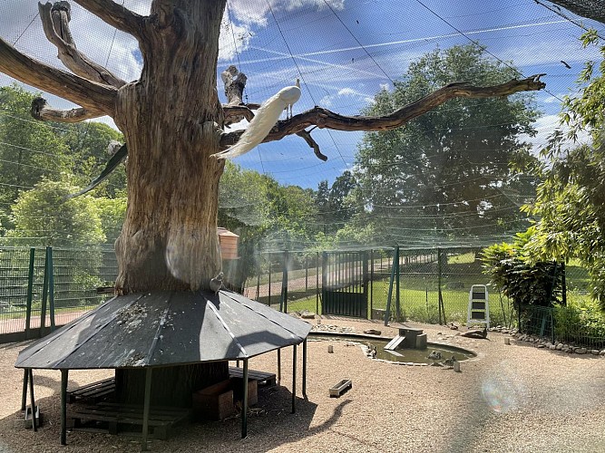 Balades Vertes, Le Creusot : parc animalier et volière du parc de la Verrerie