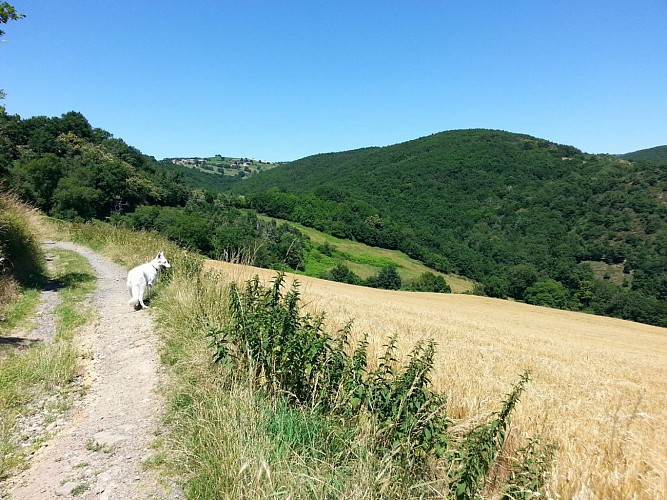 De la campagne et des forêts