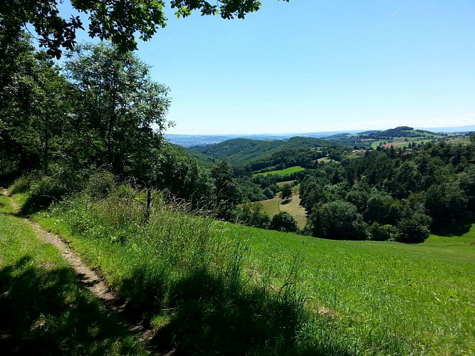 Au loin, la plaine du Forez