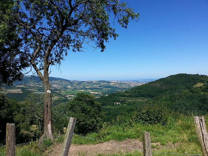 Des paysages magnifiques