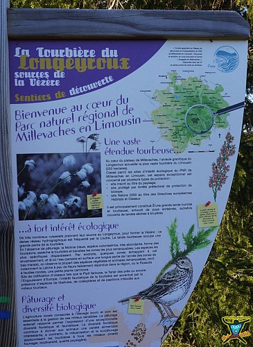 Tourbière du Longeyroux - Sentier des Linaigrettes - 1km - Corrèze (19)