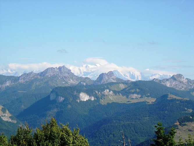 Le Mont Blanc, vu du Forchat