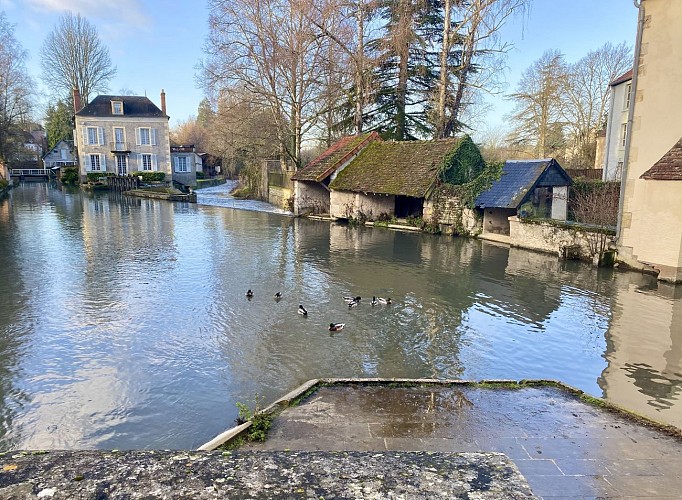 Maison de l'Ile (Donzy)