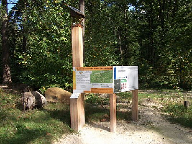Sentier forestier du Bois Champagne