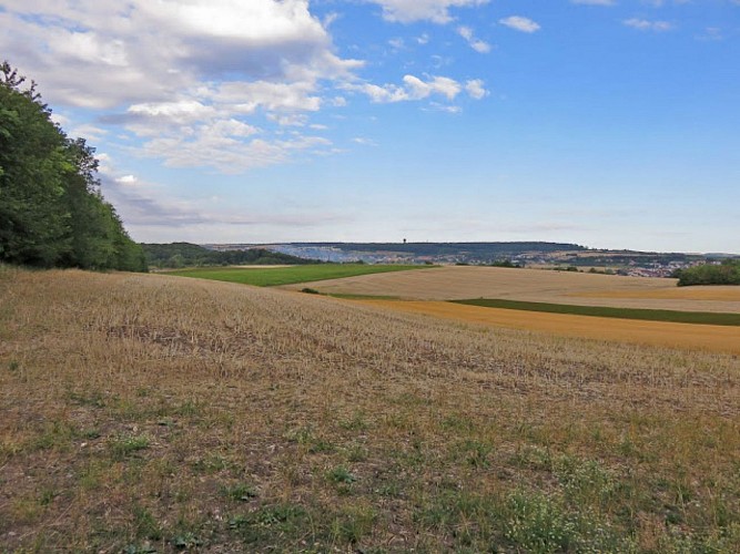 panorama vers Folschviller