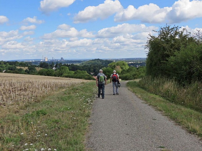 sur le haut du Steffelen