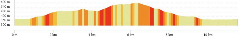 OpenRunner_16349310_Saint-Remy-de-Chargnat_le pic d-usson_11.5km_denivele