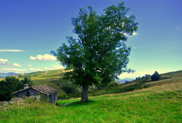 La montée à la Croix de Chaumiène