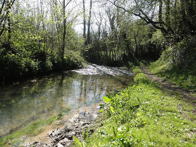 Sentier la fontaine aux Faux