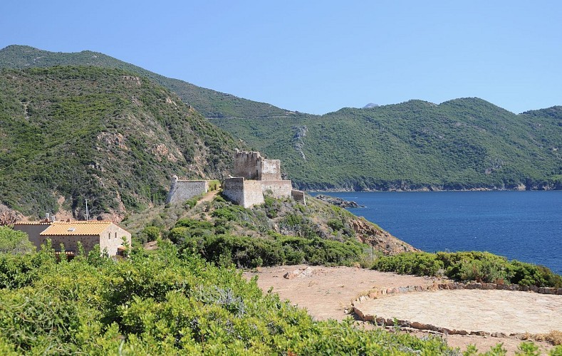 Mare è Monti Nord étape 5 - De Girolata à Curzu