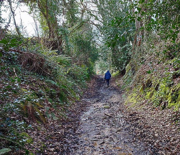 Circuit Chapelle de Christ - Pont Roux | Ploumilliau