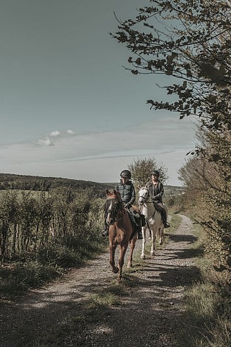 A la lisière de la Forêt de Senzeille