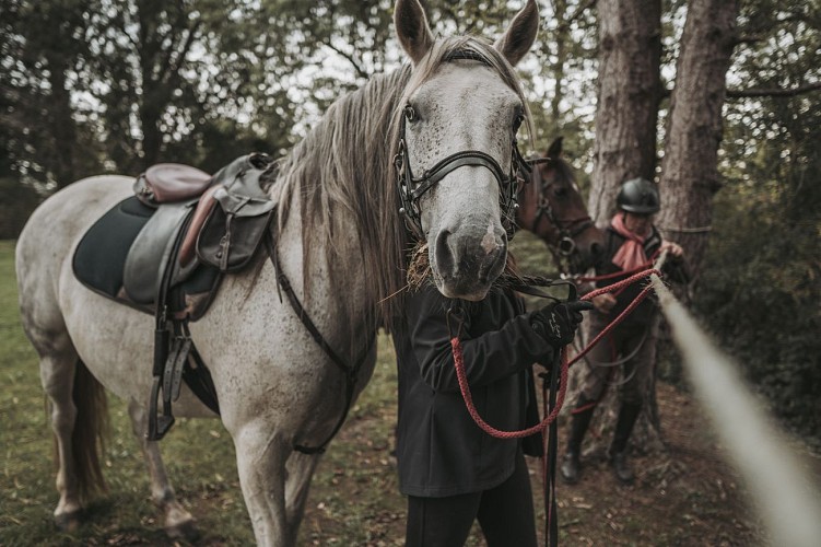 Balade à cheval