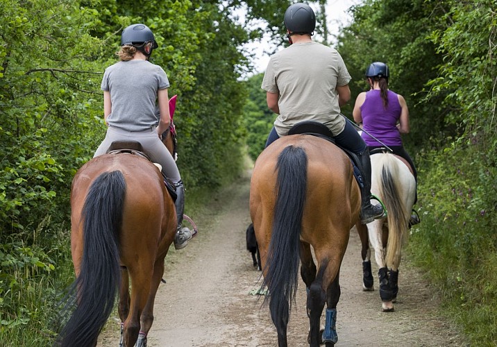 The Chevauchée trail in the Pays des Lacs region