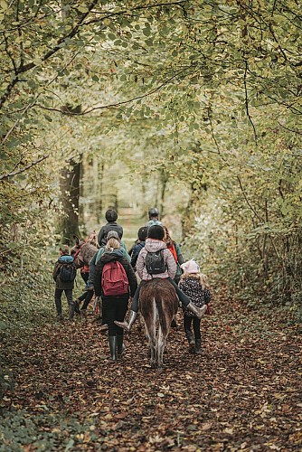 Du Bois de Sautour aux portes de l’Ardenne
