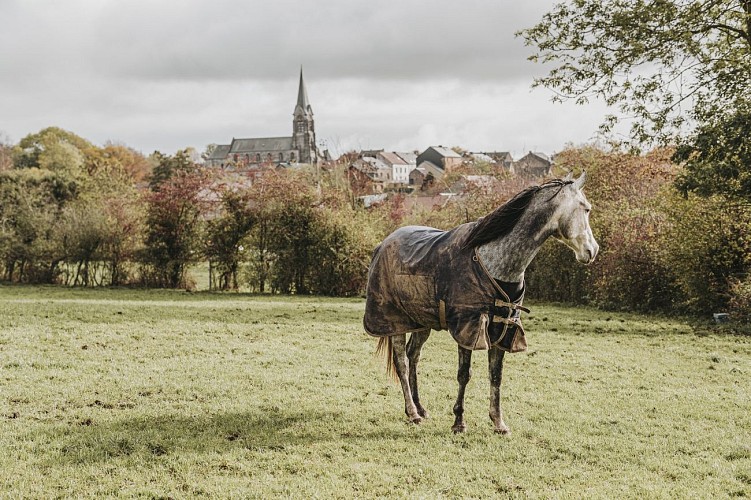 From the French border to the heart of the Chimay Forest
