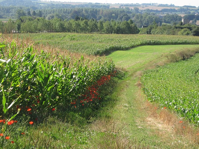 Sentier le pas de Saint Martin