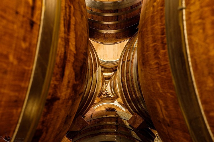 Route du Bois au Champagne sur une 1/2 journée