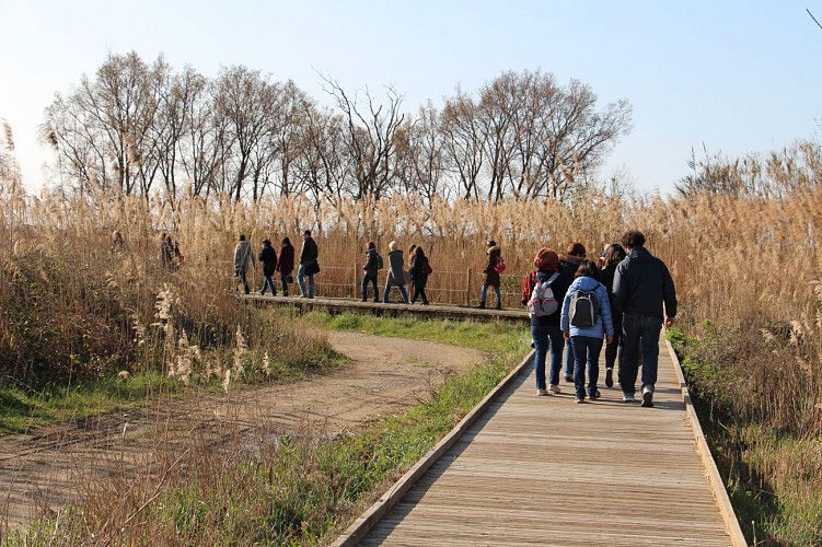 RANDONNEE SENTIER DES TAMARIS - SITE NATUREL PROTÉGÉ DU MÉJEAN